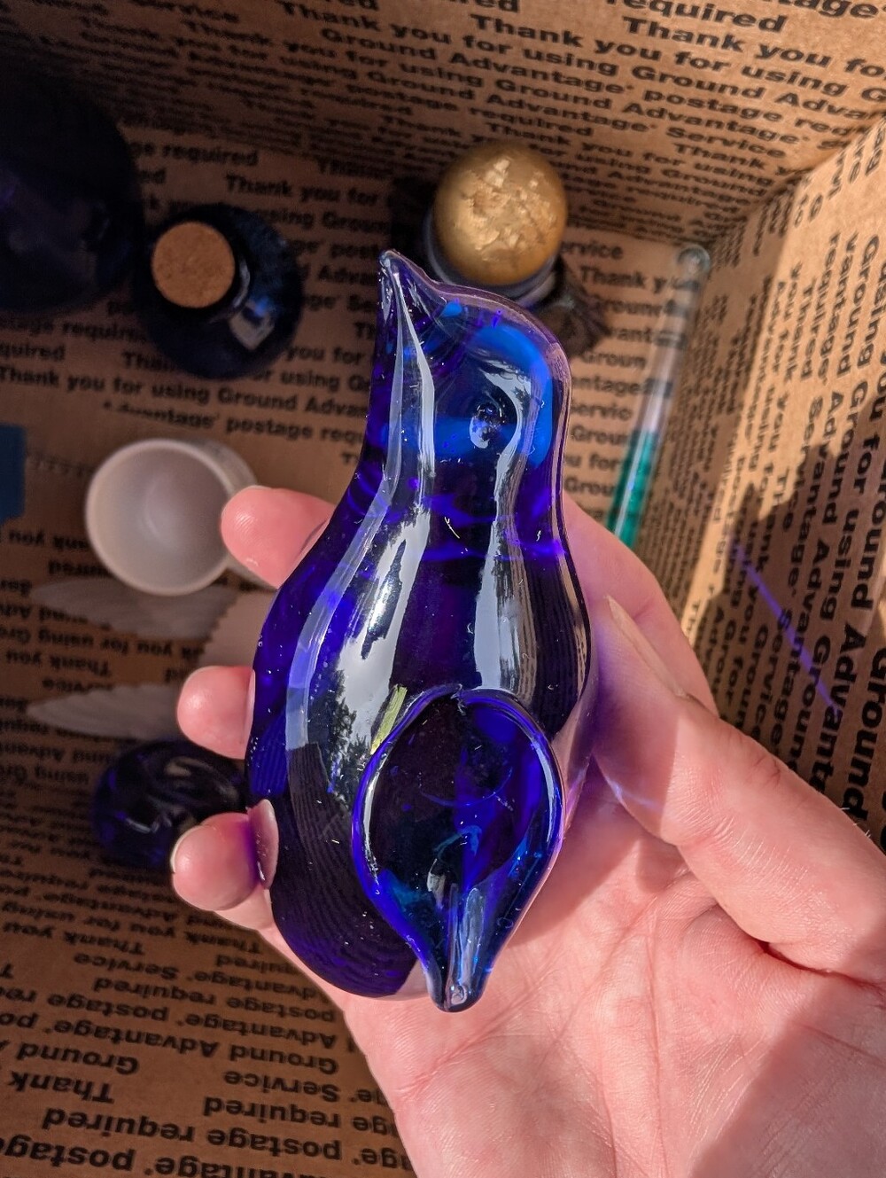 Blue Glass Penguin